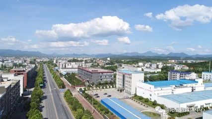 崇阳 让百姓高效办成一件事——非学历文化培训的便捷之路